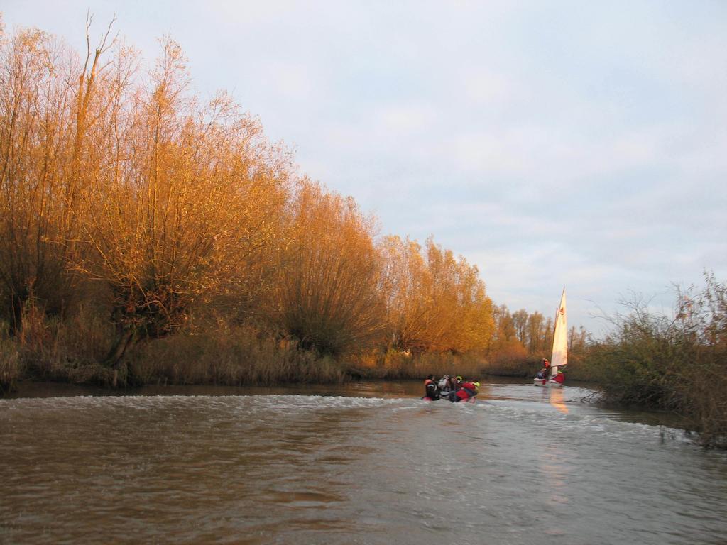 Bed And Breakfast De Biesbosch - In 'T Riet Дриммелен Экстерьер фото