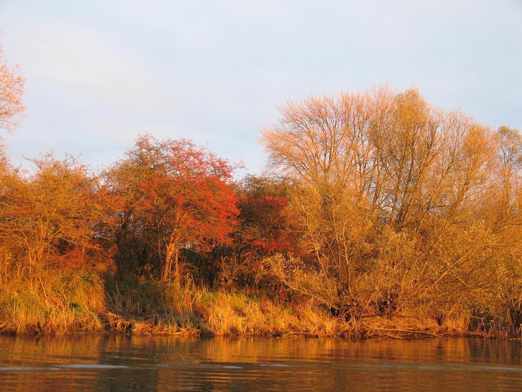 Bed And Breakfast De Biesbosch - In 'T Riet Дриммелен Экстерьер фото